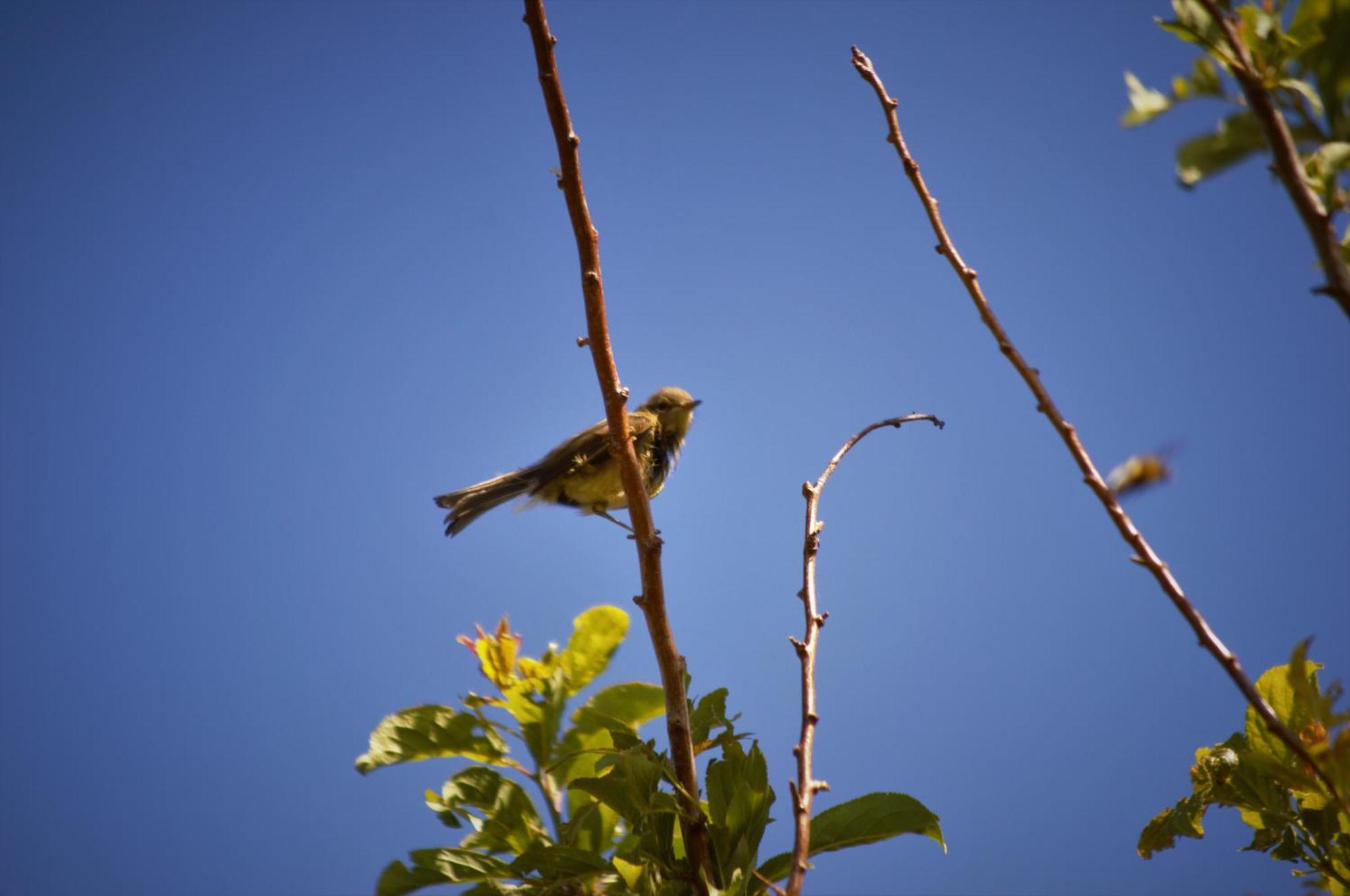 Finca La Majadera El Rosario  ภายนอก รูปภาพ